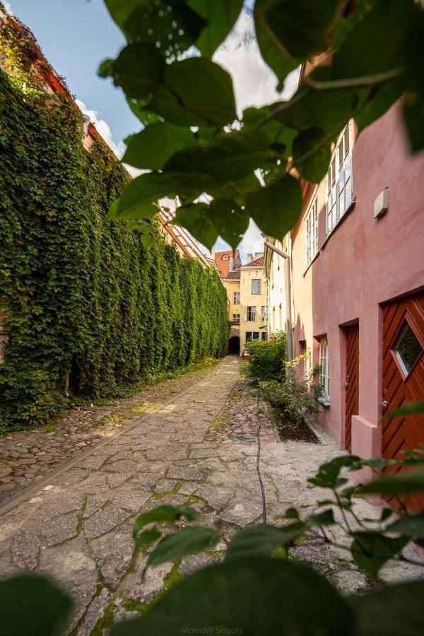 Medieval Home Tallinn Kültér fotó